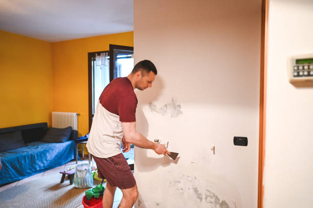 Best Mold Remediation  in Ottawa Hills, OH